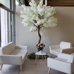 ARBRE CERISIER H2.70 BLANC