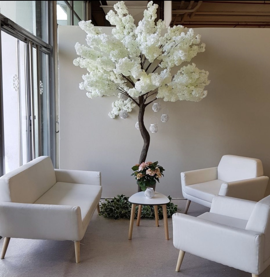 ARBRE CERISIER H2.70 BLANC