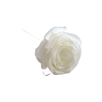 Tige de Rose - Blanche