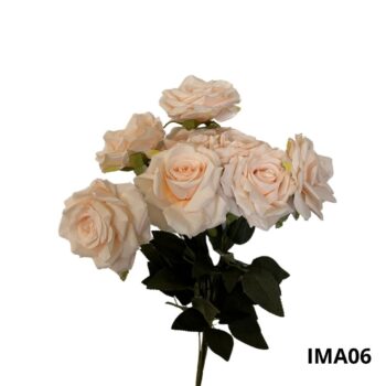 BOUQUET DE 9 ROSES – 06