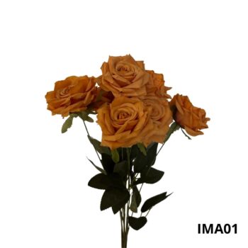 BOUQUET DE 9 ROSES - 01