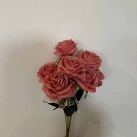 29