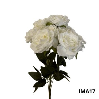 BOUQUET DE 9 ROSES – 17