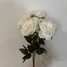 50
